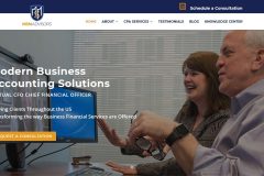 Accountant Website