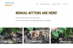 Cattery Website