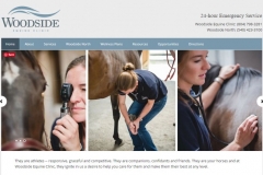 Equine Clinic Website