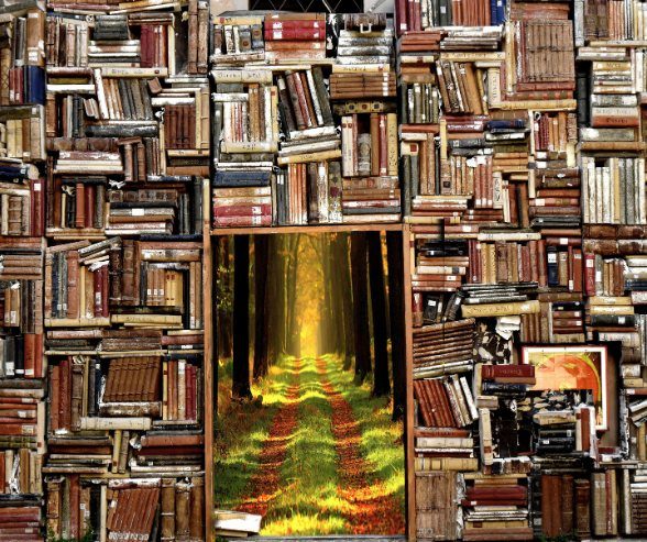 stacks of books on a shelf with a peak into a secret forest behine